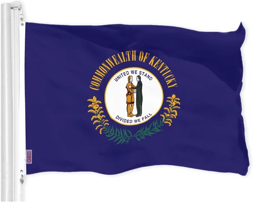 Miniatura 8 de G128 Bandera Gadsden Don't Tread On Me de 3 x 5 pies, doble cara, 3 capas, calidad 150D, poliéster, para fiesta de té, sonajero, serpiente, ojales