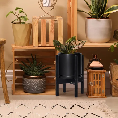 Miniatura 6 de D'vine Dev Maceta de cerámica con soporte de ébano – Maceta redonda moderna de 8 pulgadas con soporte para maceta de madera, color negro, 55-B-M-2