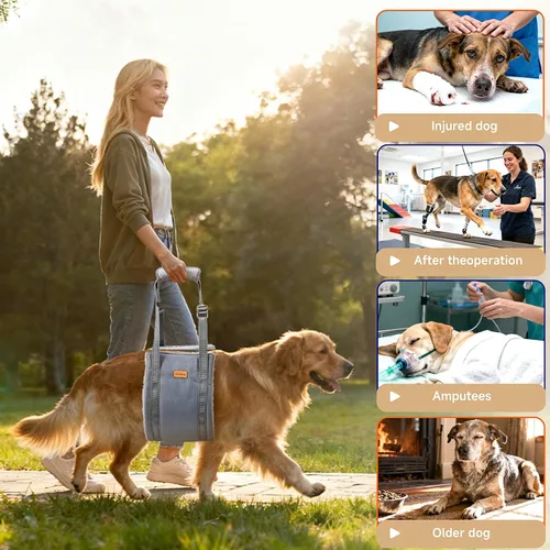 Miniatura 4 de Arnés de elevación para perros pequeños, arnés ajustable para patas traseras, arnés de soporte de cadera para ayudar a levantar la parte trasera