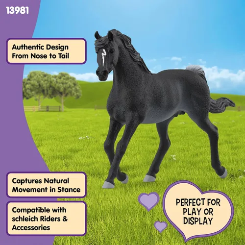 Miniatura 4 de Schleich Horse Club - Figura de semental árabe Rabicano - Figuras de poni para niñas y niños - Juguetes para niños a partir de 5 años