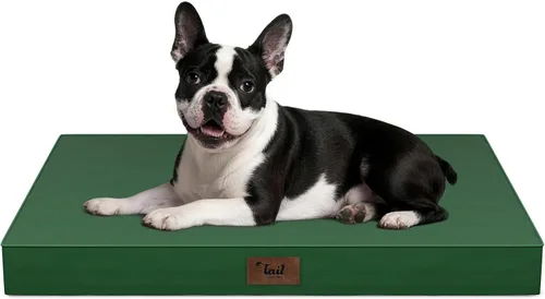 Miniatura 105 de Cama ortopédica de felpa para perros y cachorros medianos, camas impermeables para perros de 30 x 20 pulgadas con funda extraíble lavable, tapete