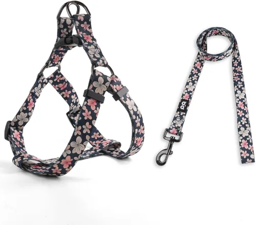 QQPETS Juego de correa de arnés para perro, ajustable, resistente, sin tirones, arnés halter para perros de razas pequeñas, medianas y grandes, clip