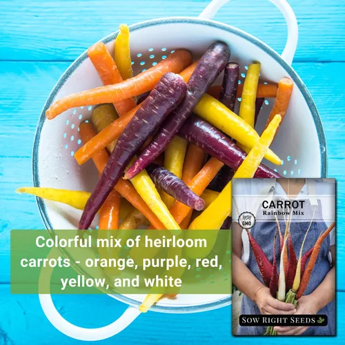 Miniatura 3 de Sow Right Seeds - Semillas de zanahoria Rainbow Mix para plantar - Paquete de reliquia sin OMG con instrucciones para plantar un huerto casero