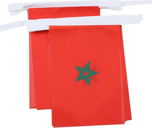 Miniatura 275 de AZ FLAG Señal marítima internacional 42.7 ft BUNTING Flag 40 banderas 9'' x 6'' - Banderas de cuerda del alfabeto náutico 5.9 x 8.3 in