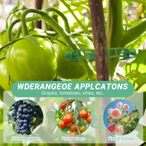 Miniatura 8 de 100 clips de plástico asegurados para plantas, clips reutilizables para soporte de plantas, clips de tomate para asegurar plantas trepadoras, uvas