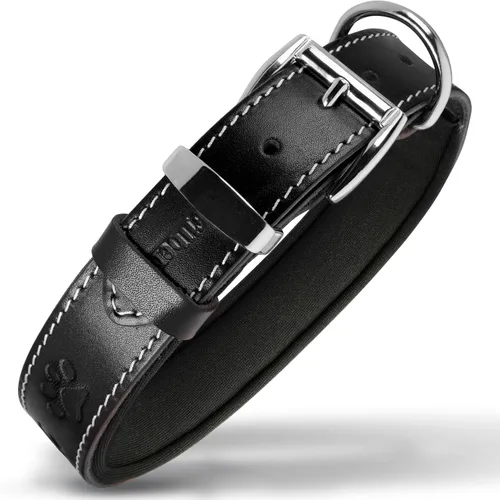 Miniatura 21 de Filbert Collar de cuero para perro, collar de cuero genuino para perros pequeños, estampado de patas en relieve con hebilla, grano completo curtido