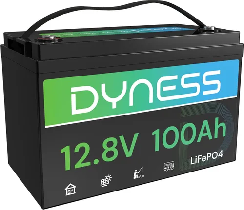 Miniatura 10 de Dyness Batería LiFePO4 de 24 V 100 Ah, batería de litio de 25.6 V con potencia de 2560 Wh, BMS integrado de 100 A con protección a baja temperatura