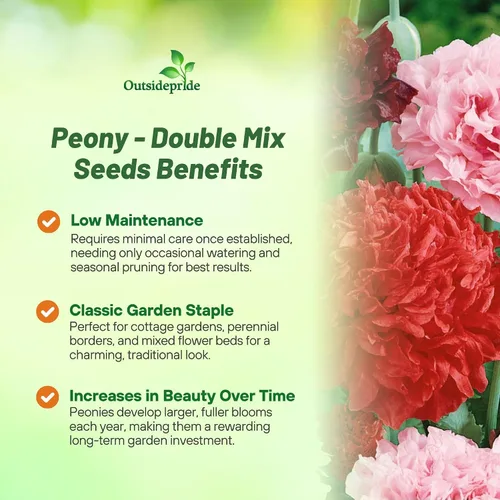 Miniatura 3 de Outsidepride Semillas de amapola de doble mezcla de peonía para plantar, 10,000 piezas anuales, tolerantes a la sequía y fáciles de cultivar