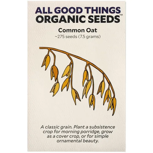 All Good Things - Semillas de avena orgánicas comunes para plantar: cultivo de cobertura, granos integrales de cáscara, paquete de 275 semillas