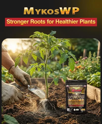 Miniatura 2 de Xtreme Gardening Mykos WP Mycorrhizae Powder - Micorrizas orgánicas para plantas - Estimulador de raíces de hongos micorrícicos para plantas - Ideal
