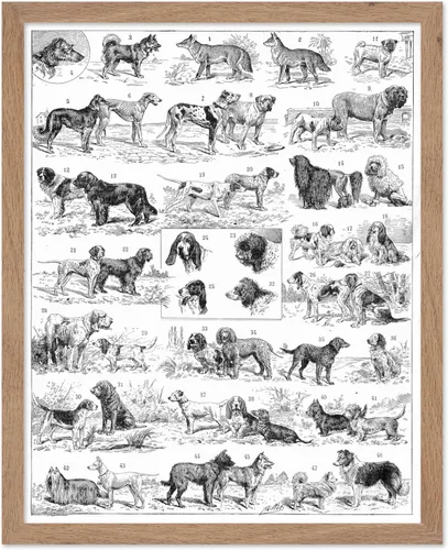 Miniatura 74 de Poster Master Póster vintage de miel, impresión retro de La Vie De L'Abeille, arte de panal de abeja, arte de pared de abeja, regalo para hombres