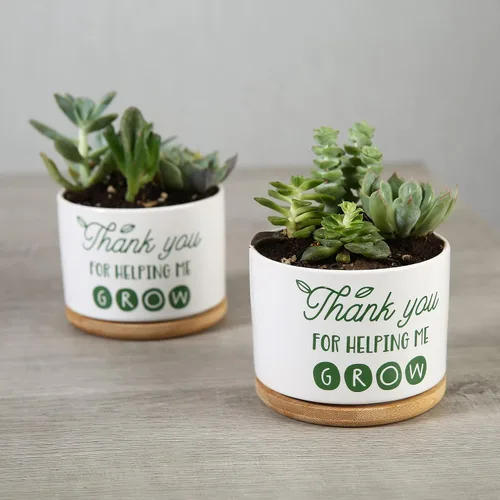 Miniatura 6 de DOMG Regalo de Apreciación para Maestros, Maceta de Cerámica para Suculentas Pequeña Maceta de Flores para Uso en Interior y Exterior, Gracias por