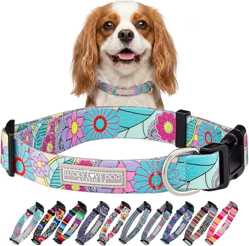 Miniatura 93 de Lucky Love Dog - Collar para perras pequeñas, diseño Blackbird de estampado alegre con flores de primavera y verano, talla XS