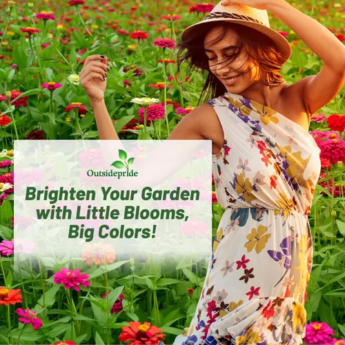 Miniatura 5 de Outsidepride - Zinnia Elegans, planta anual, Lilliput Flower Seed Mix, mezcla de semillas de flores para plantar, 1 libra