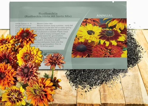 Outsidepride All Sorts Mix Rudbeckia Seeds - 100 unidades. Semillas de flores anuales, fáciles de cultivar y auto-siembradas para plantar flores