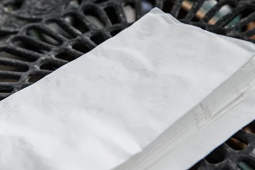 Miniatura 6 de EcoQuality Servilletas de cena blancas de 2 capas de 15 x 17 pulgadas, 4000 por paquete, servilletas de uso diario, perfectas para restaurantes
