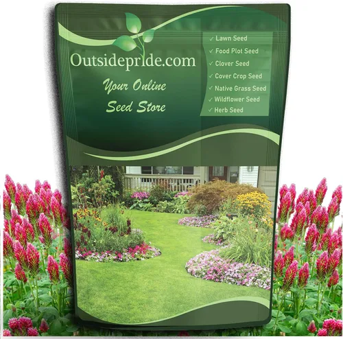 Outsidepride - Semillas de trébol escarlata leguminosa para pasto, heno, abono verde, cultivo de cobertura, forraje para vida silvestre y más, 1/4 lb