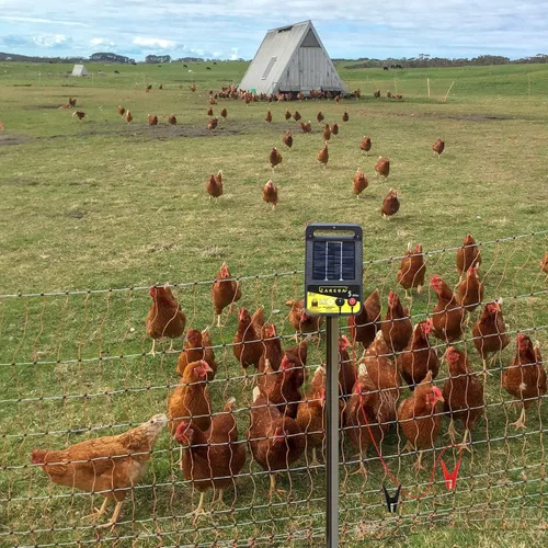 Miniatura 7 de Alambre eléctrico para valla conecta el energizador y el cargador eléctrico de valla Cargador de valla solar Valla eléctrica alimentada por energía