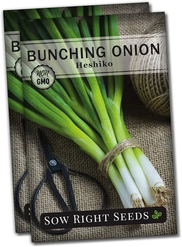 Miniatura 8 de Sow Right Seeds - Heshiko Semillas de cebolla verde japonesa agrupadas para plantar - Reliquia sin OMG - Instrucciones para plantar y cultivar un