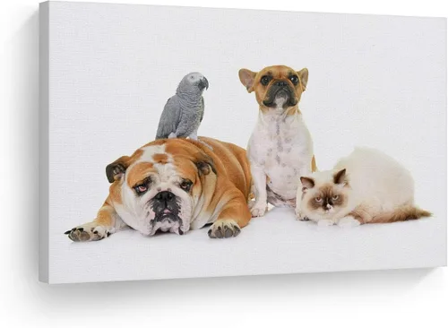 Miniatura 23 de Diseño de arte de la sonrisa Retrato de lindo Yorkie Yorkshire Terrier perro animal lienzo de pared impresión arte del dueño de mascotas amante