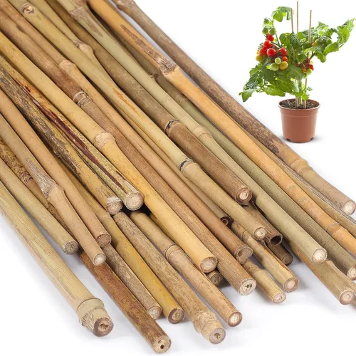 Miniatura 14 de Suclain Juego de 100 estacas de bambú para plantas trepadoras, estacas de bambú resistentes para plantas trepadoras, tomates, frijoles, flores