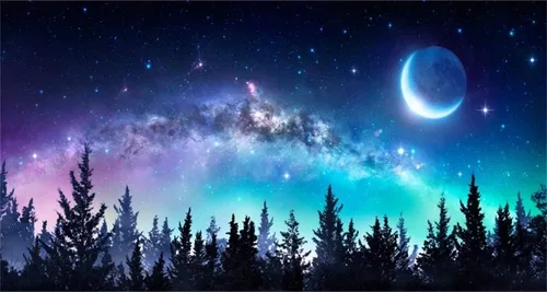 Miniatura 11 de AOFOTO Telón de fondo de bosque de cielo nocturno de 5 x 3 pies, universo, nebulosa, galaxia, cielo estrellado, fondo para fotos, luces coloridas