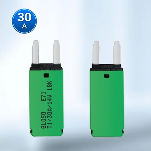 Miniatura 3 de DC 10 piezas 30 Amp auto reset ATM Mini disyuntor (10A-30A) Kit surtido de fusibles de cuchilla para barco, marina, RV, yate, batería, remolque