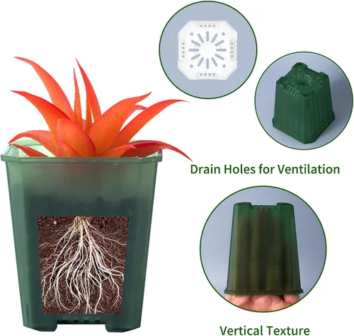 Miniatura 3 de Macetas de vivero transparentes verdes de 3 pulgadas de Foxany, 30 piezas de maceta de plástico grueso, paquete variado de macetas cuadradas