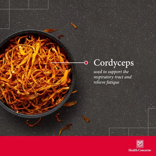 Miniatura 3 de Health Concerns Cordyceps PS – Suplemento de apoyo pulmonar y salud respiratoria – Cuerpo fructífero de hongos para la función inmunológica, salud