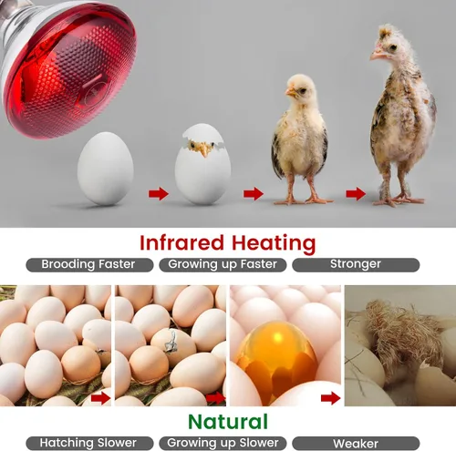 Miniatura 2 de Lámpara de calor para gallinas, gallinero, incubador y bombilla de calor para reptiles, 150 vatios, luz roja infrarroja