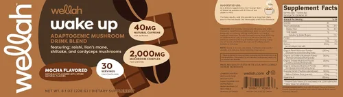 Miniatura 5 de Wellah Wake Up Adaptogenic - Mezcla de bebida de hongos con sabor a moca (30 porciones) – 40 mg de cafeína natural, 2000 mg de complejo de hongos