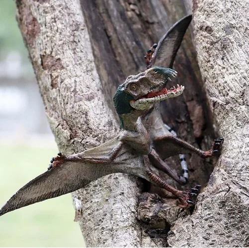 Miniatura 6 de Juguete de dinosaurio, figuras realistas de pterosaurio con alas jurásicas con boca móvil, figuras de dinosaurio pterodáctilo educativas realistas