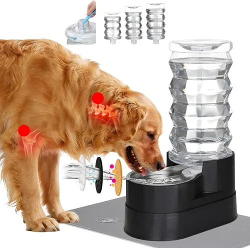 RIZZARI Dispensador de agua grande para perros: 8L de gravedad elevada en negro, dispensador automático de acero inoxidable con cepillo
