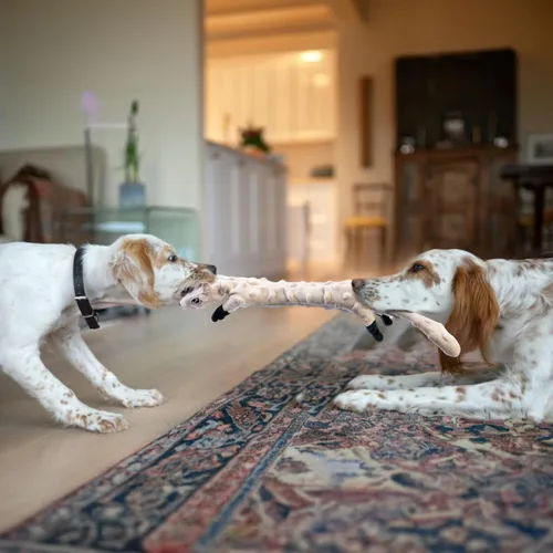 Miniatura 4 de SHARLOVY Paquete de 5 juguetes chirriantes para perros, juguetes de peluche de burbujas para dentición para cachorros, juguetes para perros