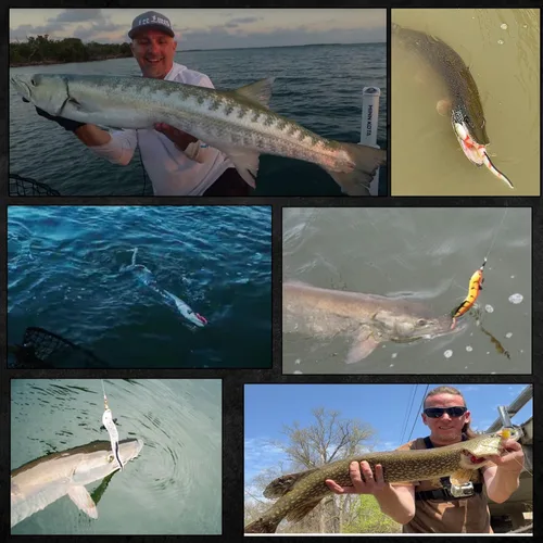 Miniatura 2 de Delong Lures Señuelos y cebos de pesca Jerk KILR EEL de 8 pulgadas, señuelos de pesca de agua salada y agua dulce, cebos para lubina de boca grande