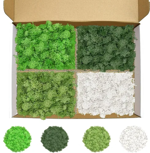 Miniatura 21 de Musgo de reno amarillo preservado de 3.5 onzas para plantas en maceta, decoración artesanal para arte de pared, musgo falso para decoración