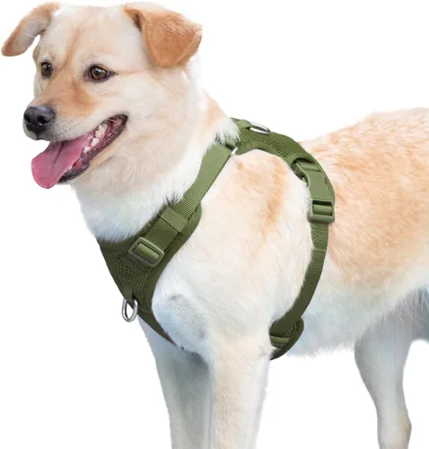 Miniatura 8 de Arnés sin tirones para perros pequeños, medianos y grandes, chaleco de malla ajustable de 2 capas con doble clip, a prueba de escapes, liberación