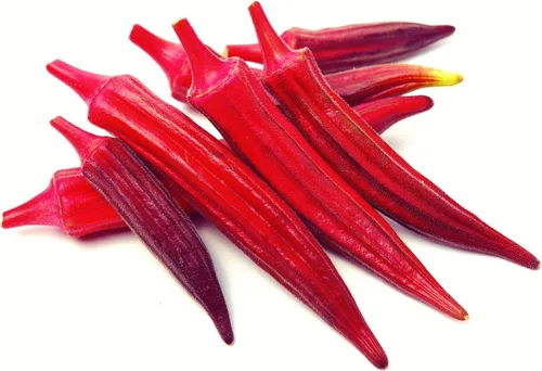 Red Burgundy Okra Seeds, 100 semillas tradicionales por paquete, semillas sin OMG, nombre botánico: Abelmoschus esculentus - Hecho en EE. UU., Se
