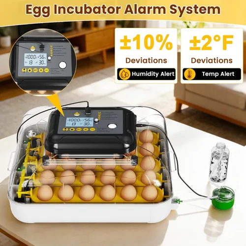 Miniatura 5 de Incubadoras para incubar huevos, incubadora de huevos de gallina con giro automático de huevos, fuente de alimentación doble, vela de huevos