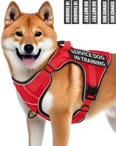 Chaleco de perro de servicio para perros medianos, arnés de perro de servicio en entrenamiento con parches, chaleco ajustable para perros con