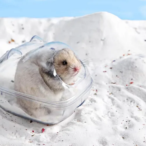 Miniatura 4 de DR.DUDU Arena de baño para hámster, 6.6 libras, libre de polvo, arena del desierto o arena para orinal para hámster, chinchillas, jerbo, hámsters
