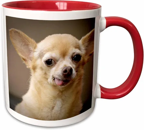 Miniatura 9 de 3dRose Taza de café, tamaño – 15 oz – Perro Chihuahua sin dientes, Santa Fe, Nuevo México – US32 JMR0502 – Julien McRoberts Dogs – divertido regalo
