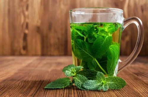Miniatura 2 de Semillas de menta para plantar en exteriores e interiores, más de 500 semillas sin OMG para jardín de hierbas