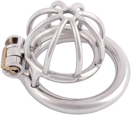 TERNENCE Dispositivo de castidad masculina de metal, pequeño, acero inoxidable 304, cómodo, jaula para adultos, juguete sexual D240 (1.57