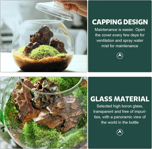 Miniatura 5 de Angoily Terrario de vidrio, tarros grandes transparentes con tapa, florero de terrario para plantas