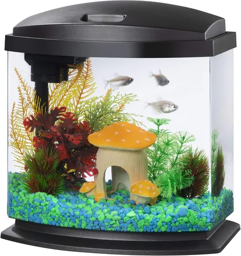 Miniatura 11 de Aqueon Kit de Acuario Pequeño LED MiniBow con Tecnología SmartClean, Azul, 1 Galón