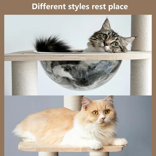 Miniatura 8 de Árbol para gatos de madera maciza de 65 pulgadas, moderno, torre para gatos de varios niveles para gatos de interior, torre resistente para gatos