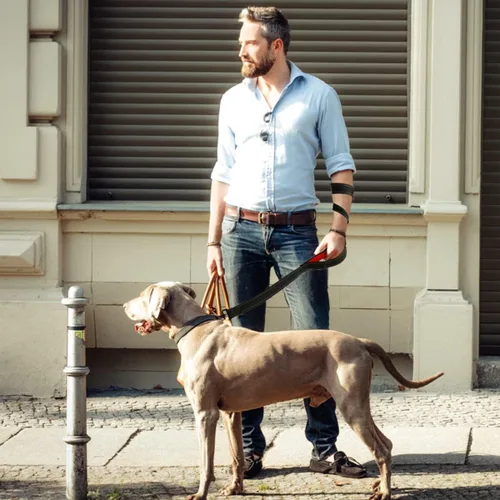 Miniatura 2 de Correa resistente para perros con 2 asas - Correa reflectante anti-tracción de 6 pies para perros grandes, asa acolchada de tráfico para control