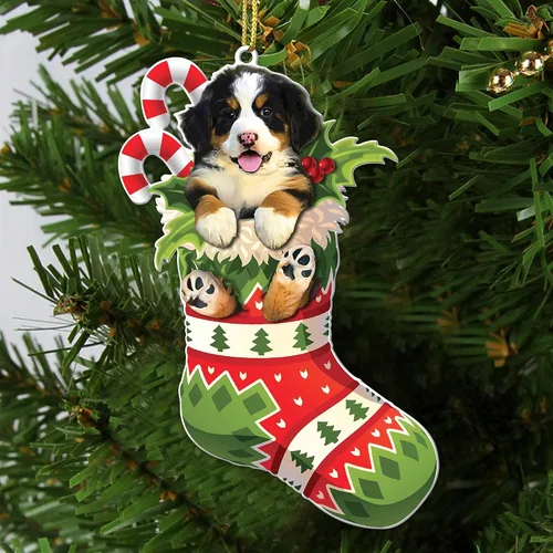 Miniatura 2 de Adorno acrílico plano de Navidad para perro de montaña bernés, adorable cachorro de montaña bernés en calcetín con bastones de caramelo, decoración