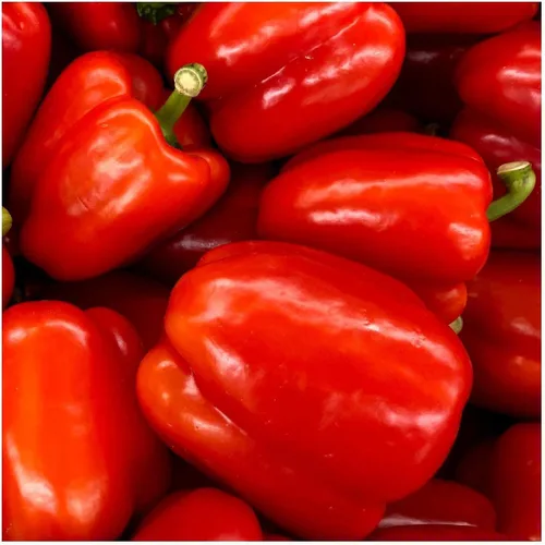 Miniatura 3 de Everwilde Farms - 50 semillas de pimiento dulce California Wonder - Paquete de semillas Gold Vault